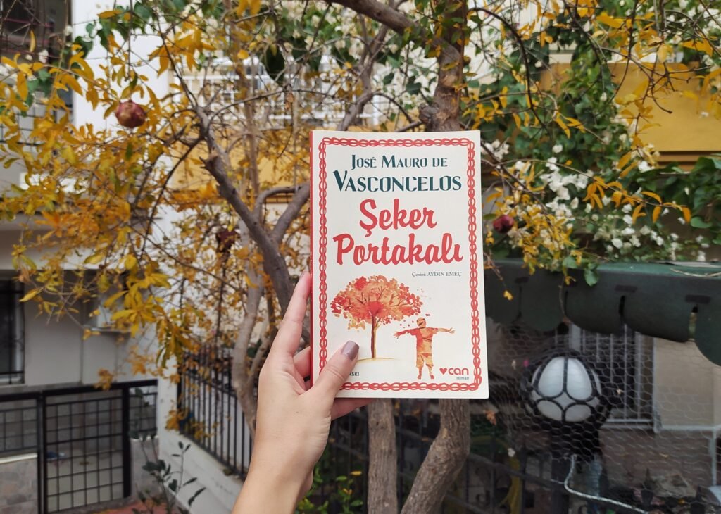 Şeker Portakalı Konusu ve Devam Kitapları