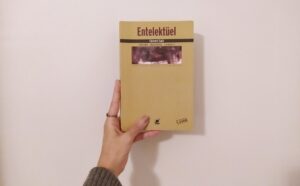 Entelektüel Kitabı Edward Said